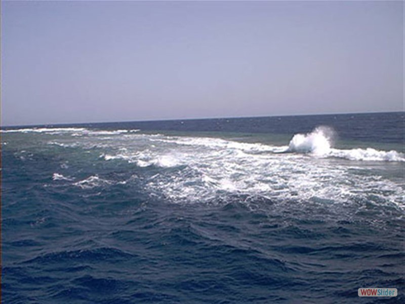 Elphistone Reef - Marsa Alam - Egypt