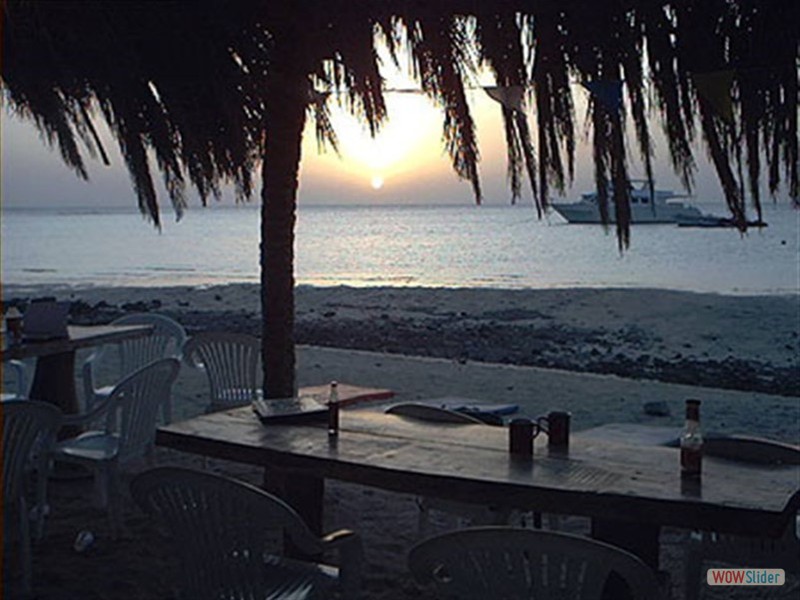 Safari Scuba Camp - Marsa Alam - Egypt