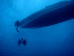 Bunaken Island -  down in the deep - October 2011