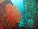 Seascape - Elephnat Head - Similan Islands - Jan 2008- 