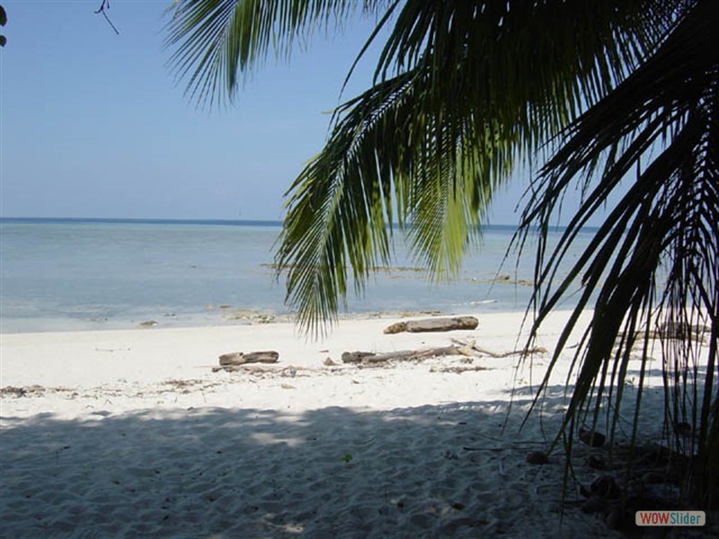 the beach - Sipadan Island - Malaysia