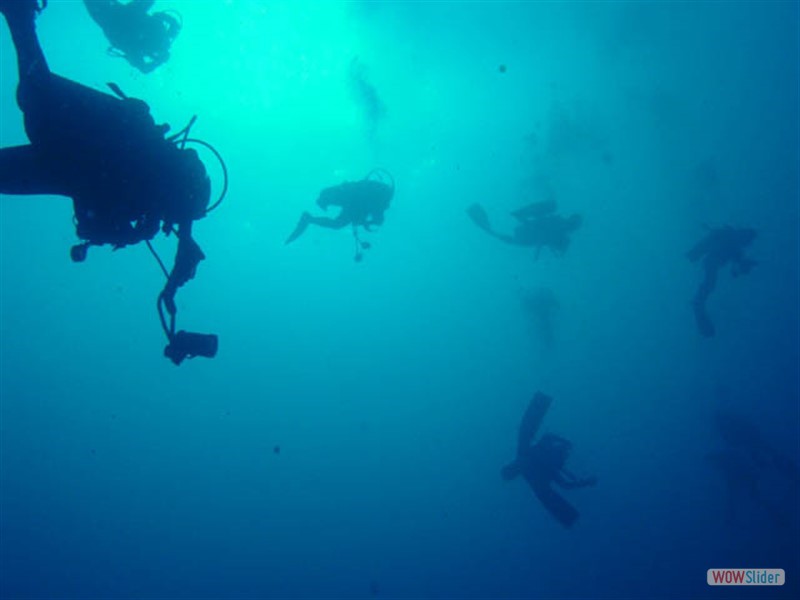 Ascent from the blue Sipadan Island - Malaysia