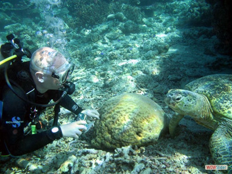 Sipadan Island Malaysia Thank to Ania (Wonderful dive buddy)